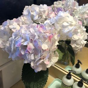 Meet your Posher, Tess